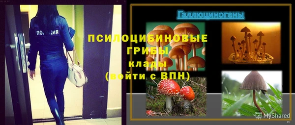 ПСИЛОЦИБИНОВЫЕ ГРИБЫ Михайловск