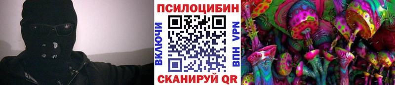 Галлюциногенные грибы Psilocybe  mega tor  Шиханы 